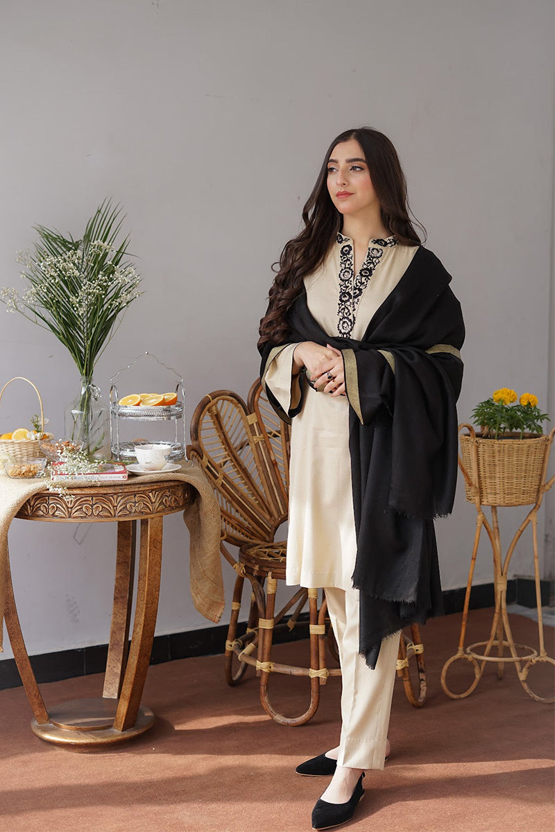 AISLING - 3PC DHANAK EMBROIDERED CL-W164